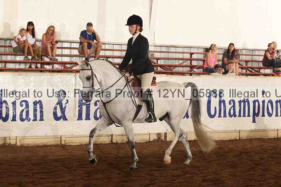 Proof 12yn_05888