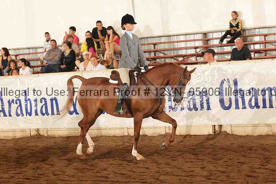 Proof 12yn_05906