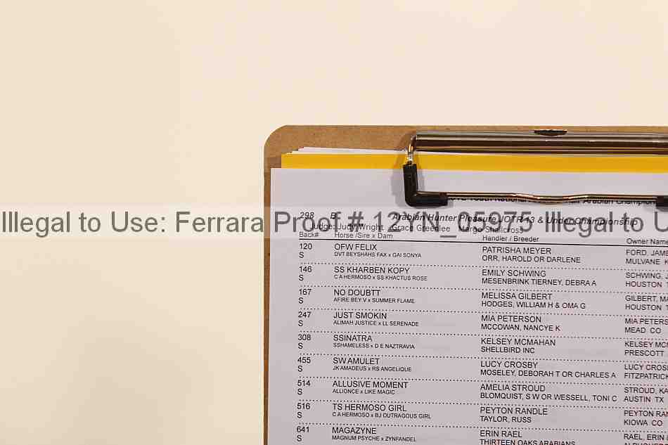 Proof 12yn_05975
