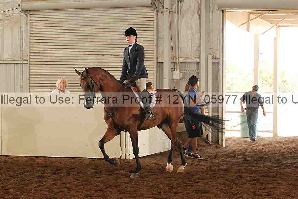 Proof 12yn_05977