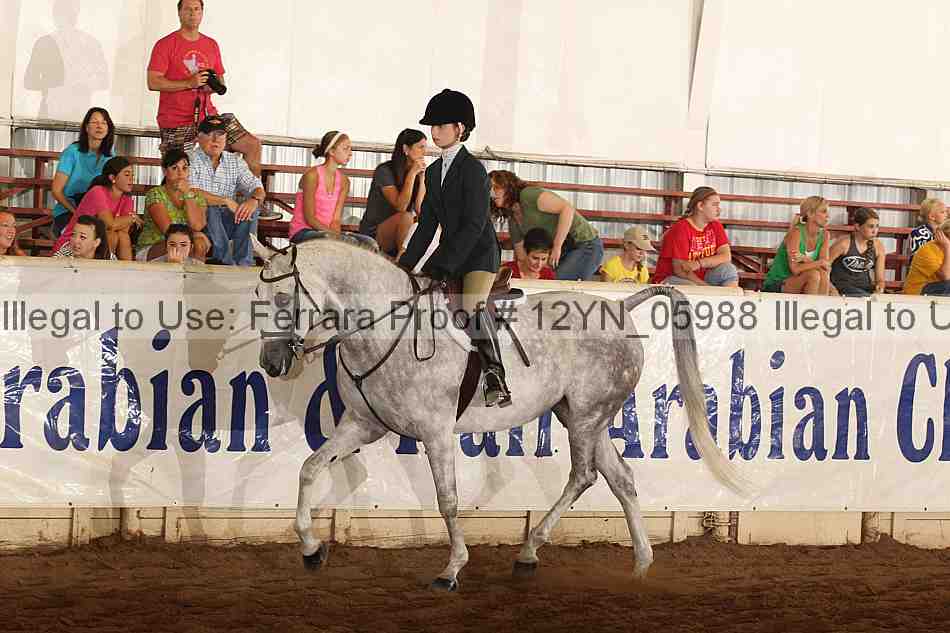 Proof 12yn_05988