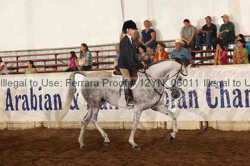 Proof 12yn_06011
