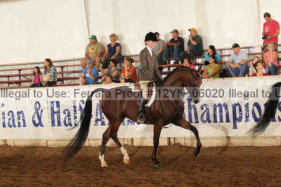 Proof 12yn_06020
