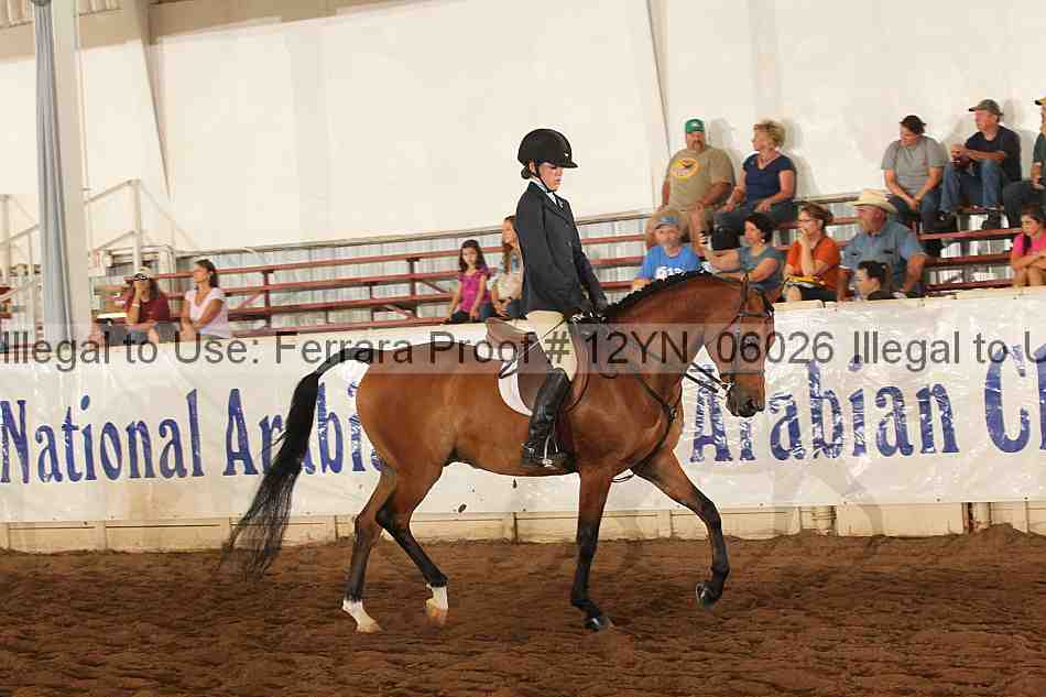 Proof 12yn_06026