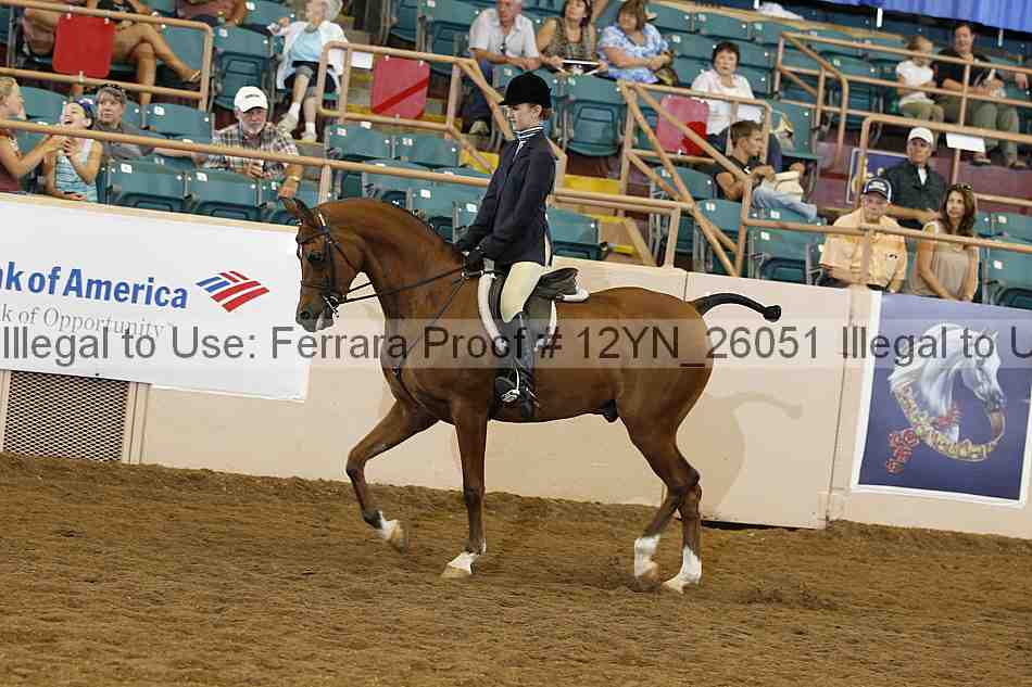 Proof 12yn_26051