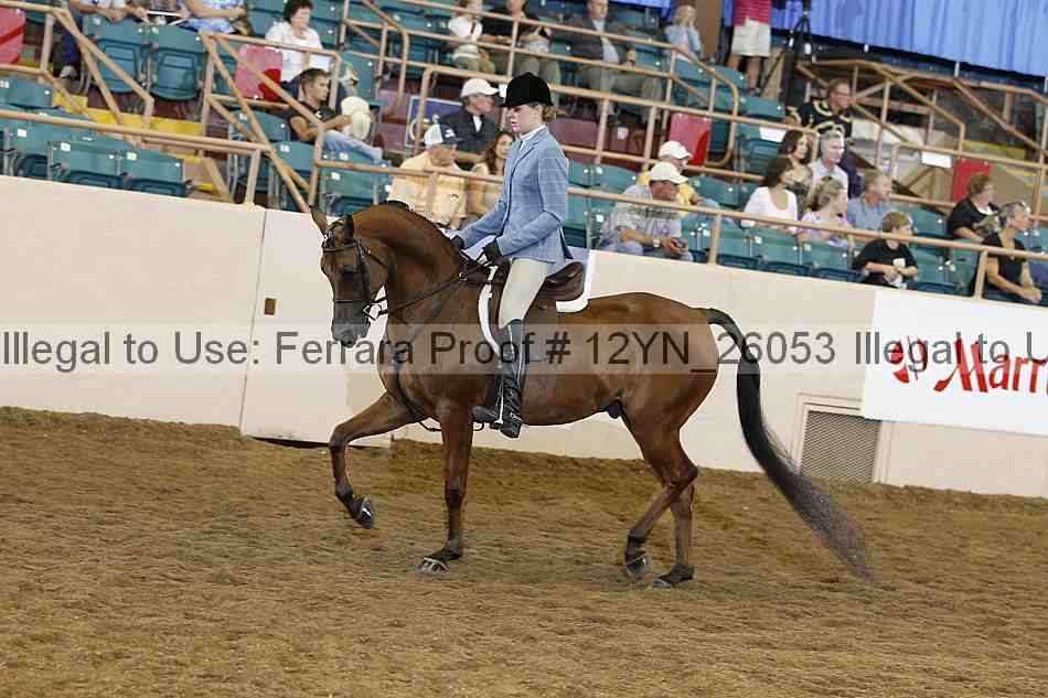 Proof 12yn_26053