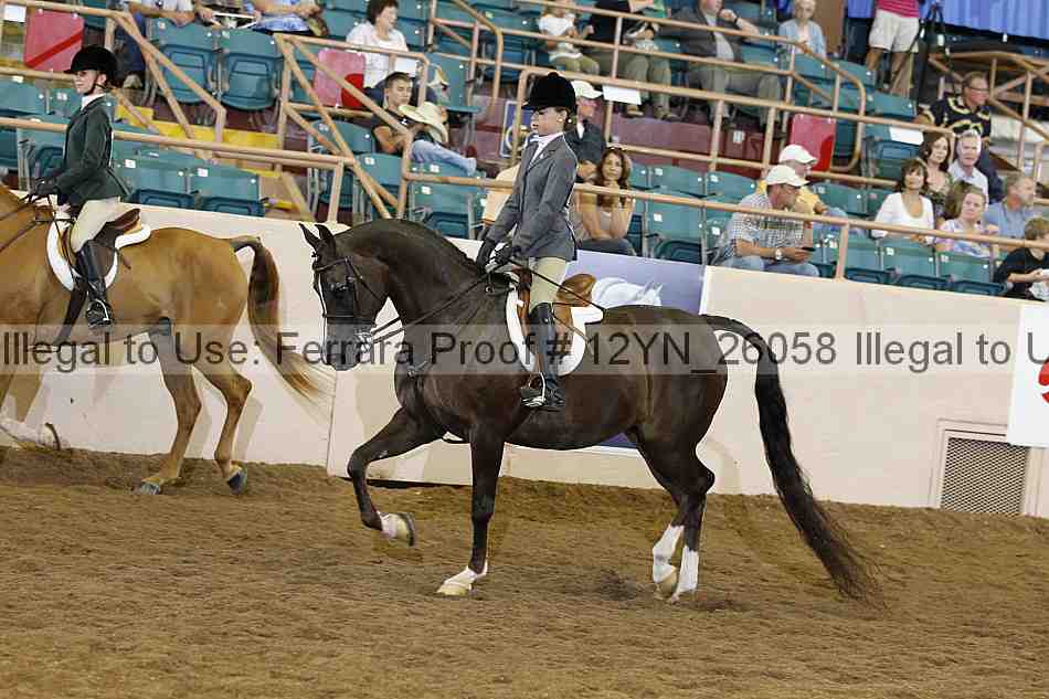 Proof 12yn_26058
