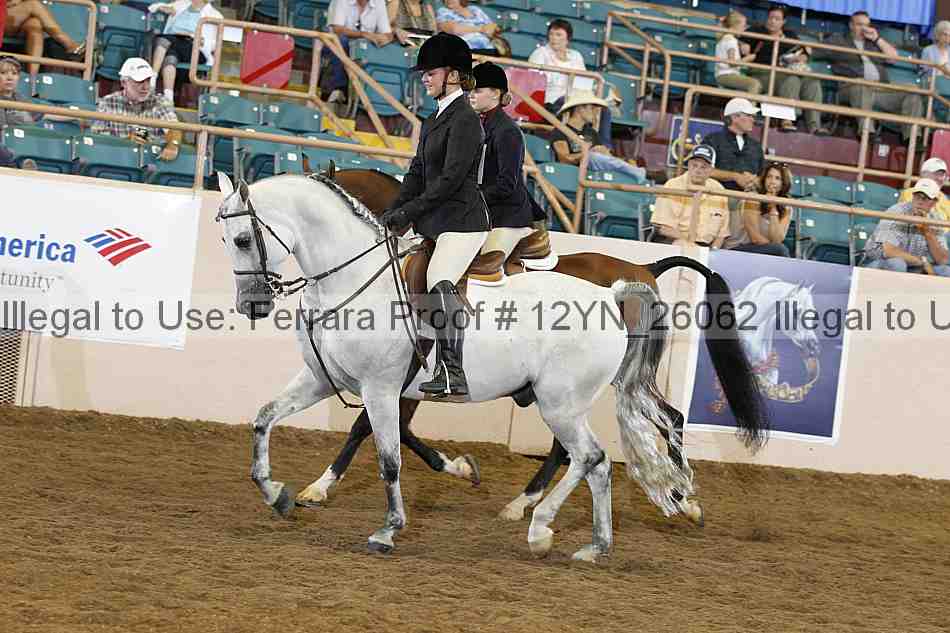 Proof 12yn_26062