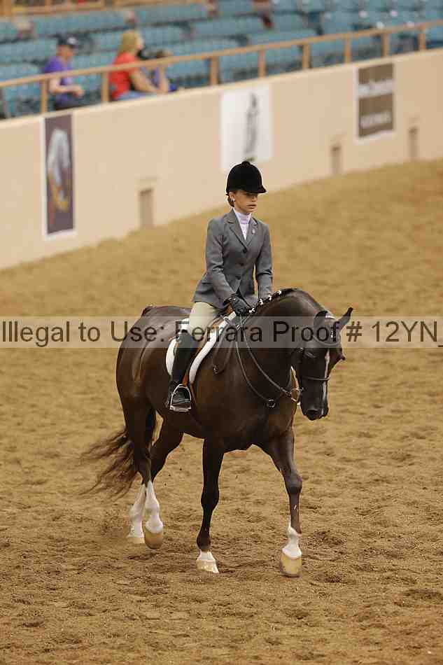 Proof 12yn_26063