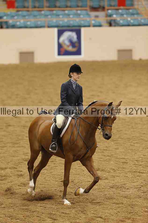 Proof 12yn_26065