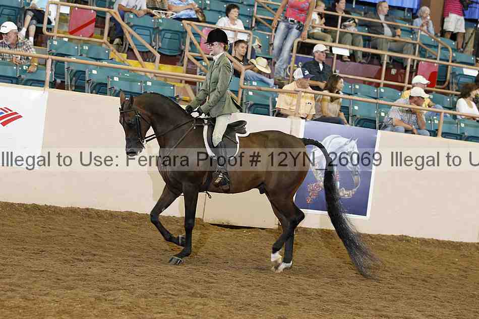 Proof 12yn_26069