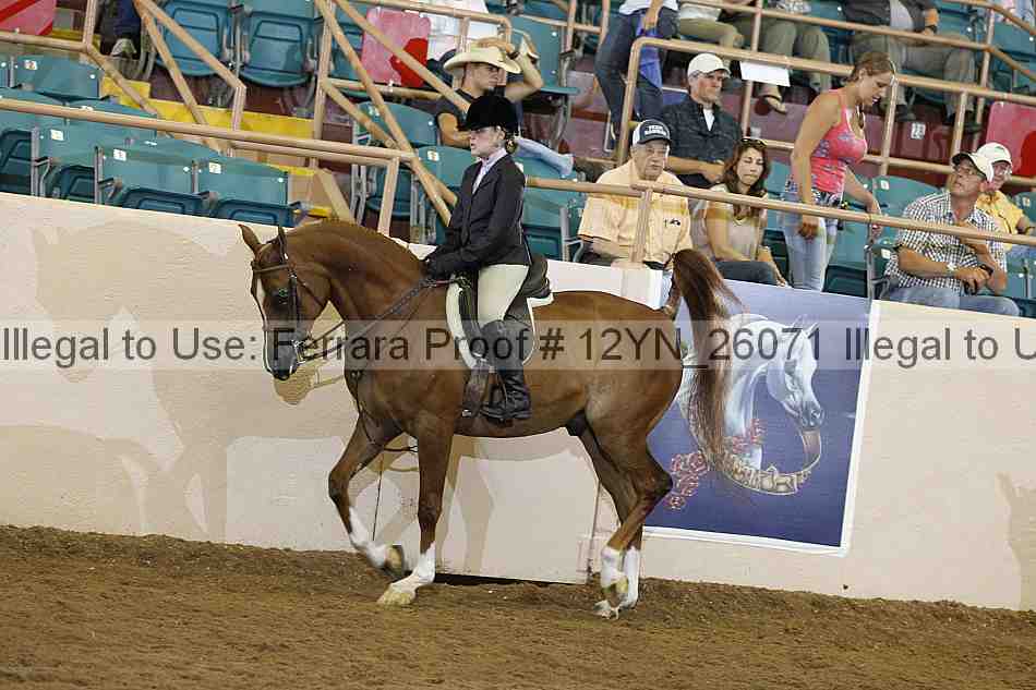 Proof 12yn_26071