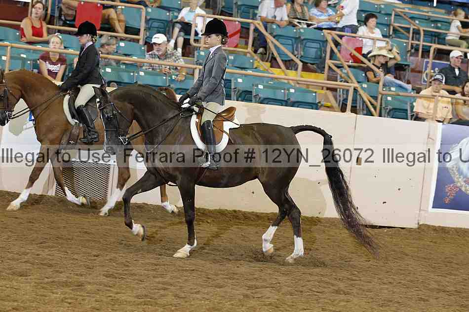 Proof 12yn_26072
