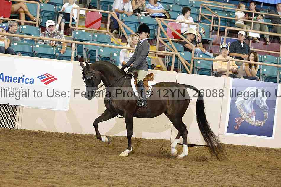 Proof 12yn_26088