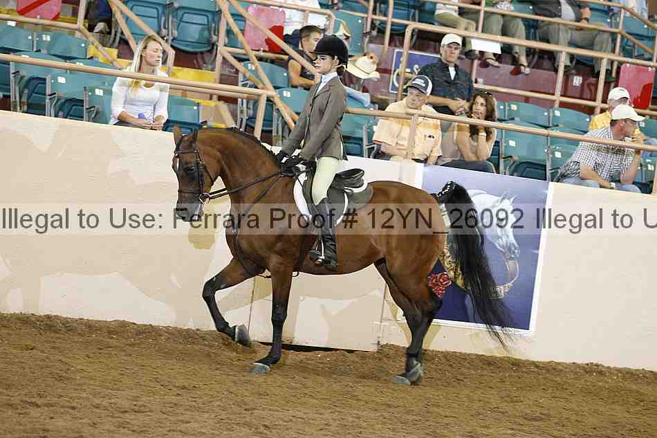 Proof 12yn_26092