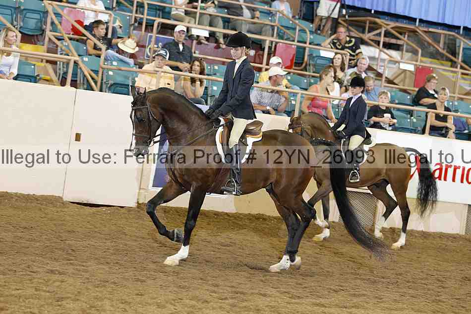 Proof 12yn_26093