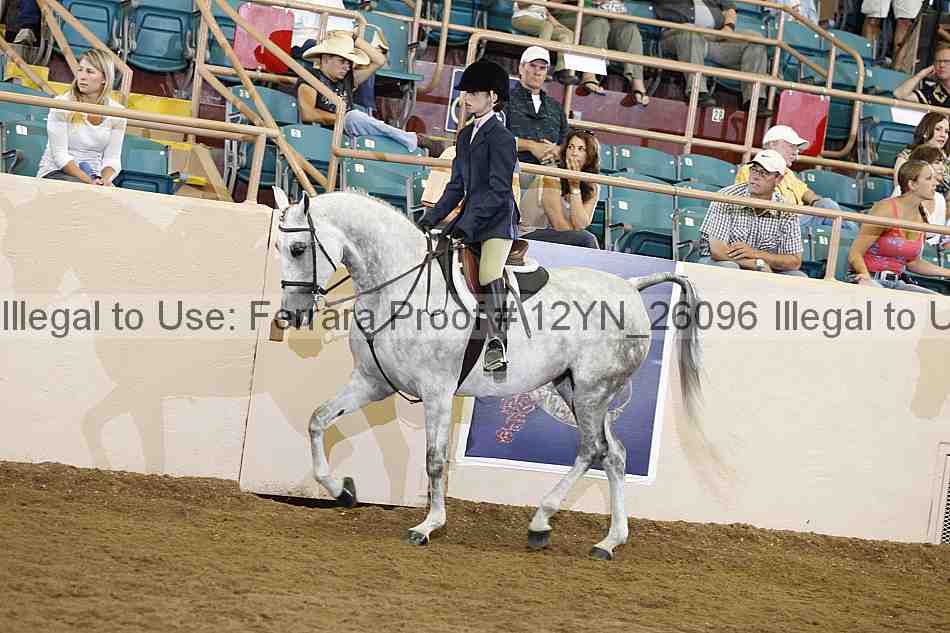 Proof 12yn_26096