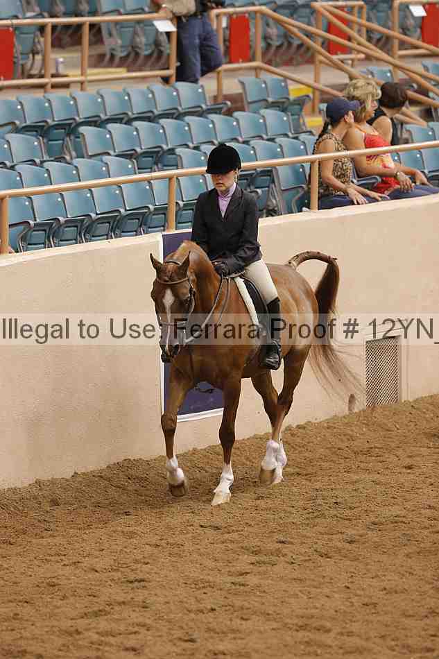 Proof 12yn_26099
