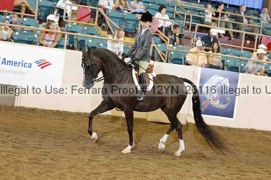 Proof 12yn_26116