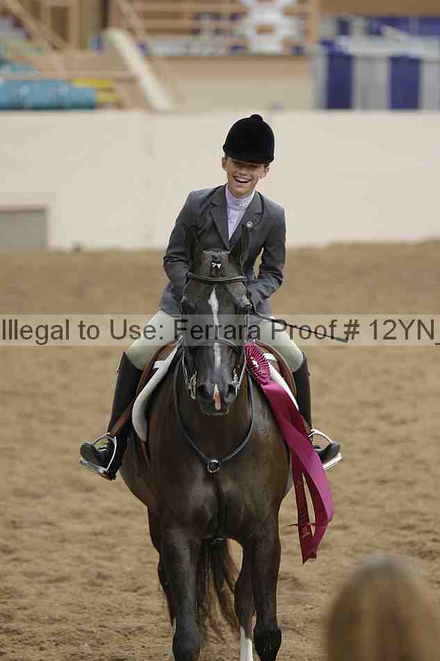 Proof 12yn_26188