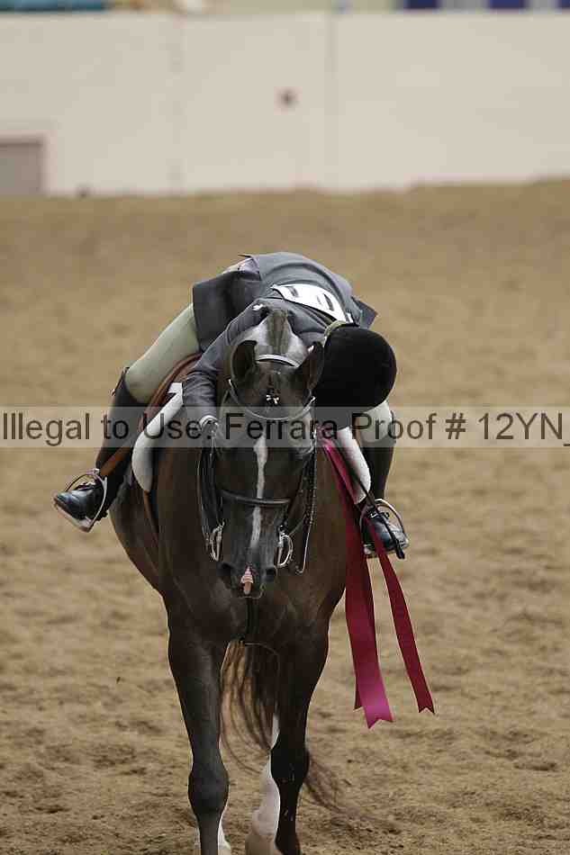 Proof 12yn_26190