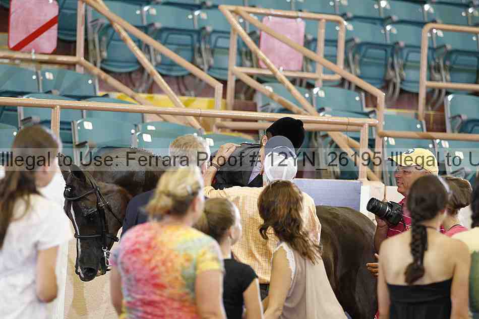 Proof 12yn_26195