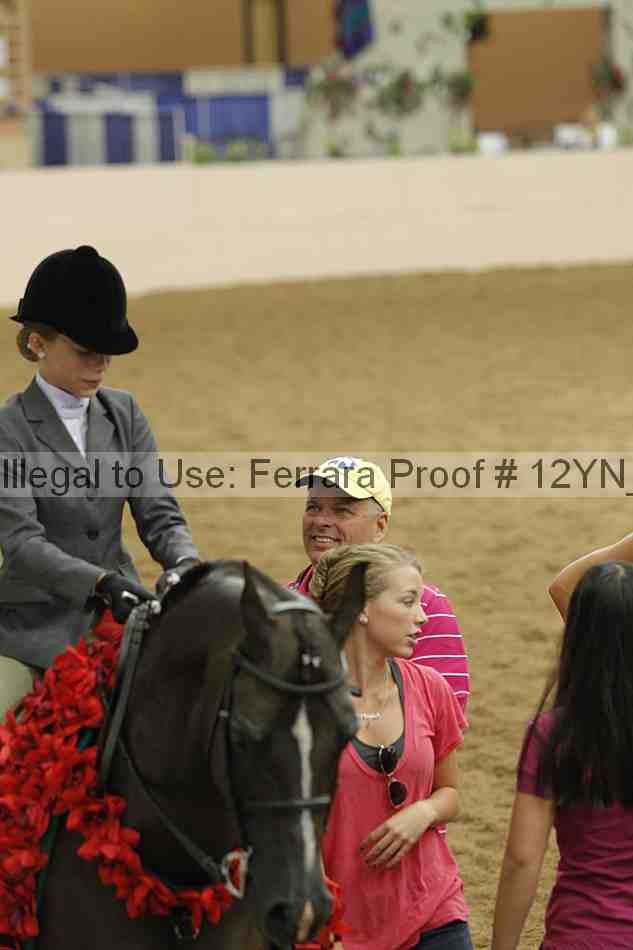 Proof 12yn_26214