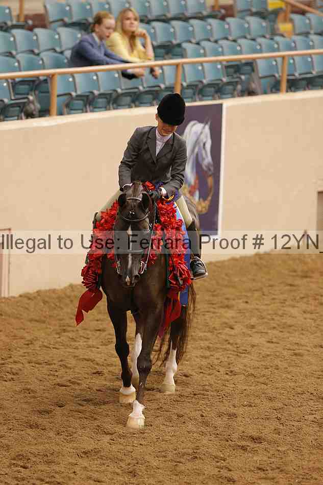 Proof 12yn_26227