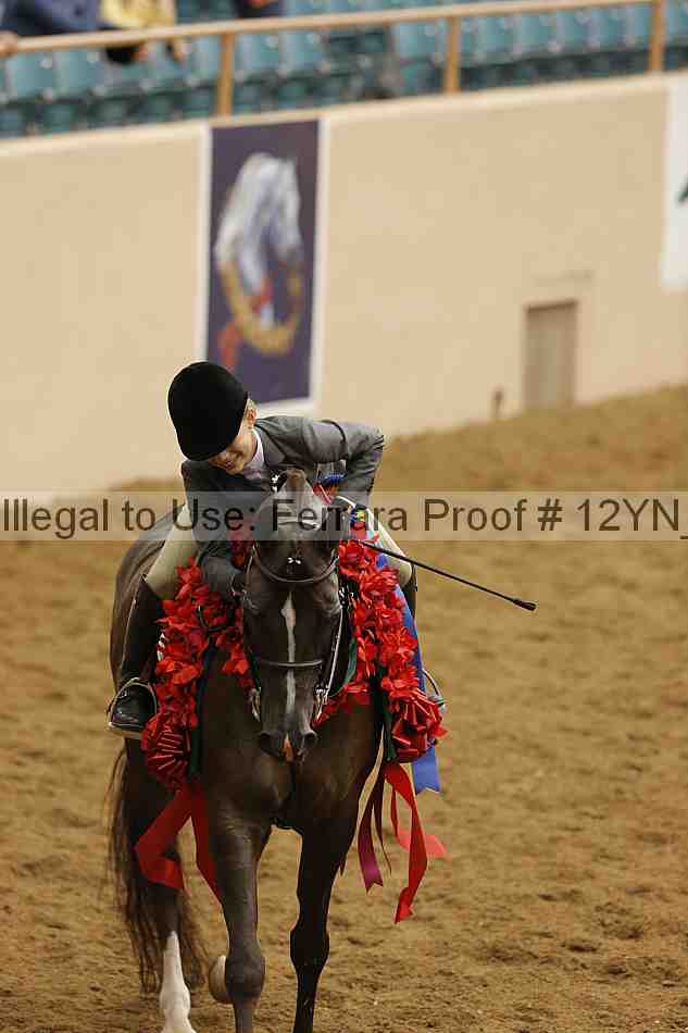 Proof 12yn_26229