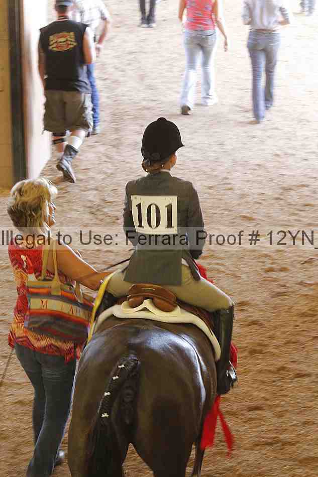 Proof 12yn_26294