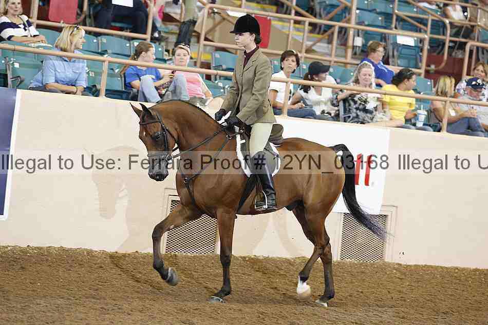 Proof 12yn_03168
