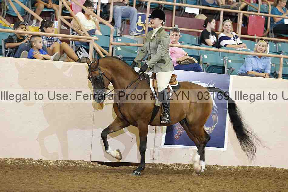 Proof 12yn_03169