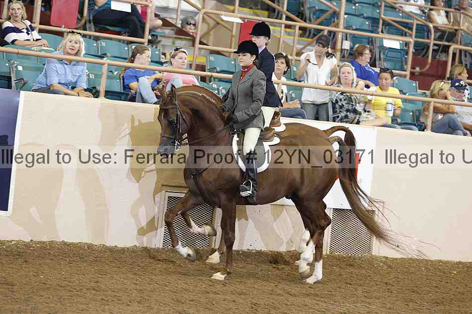 Proof 12yn_03171