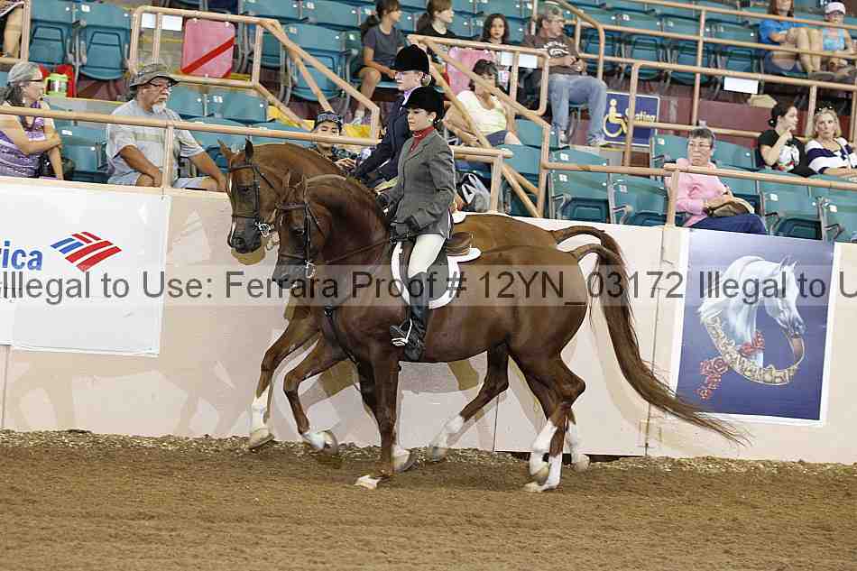 Proof 12yn_03172