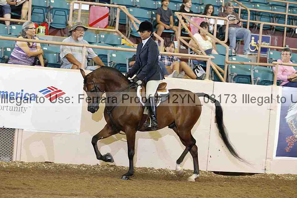 Proof 12yn_03173