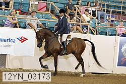 12yn_03173 proof