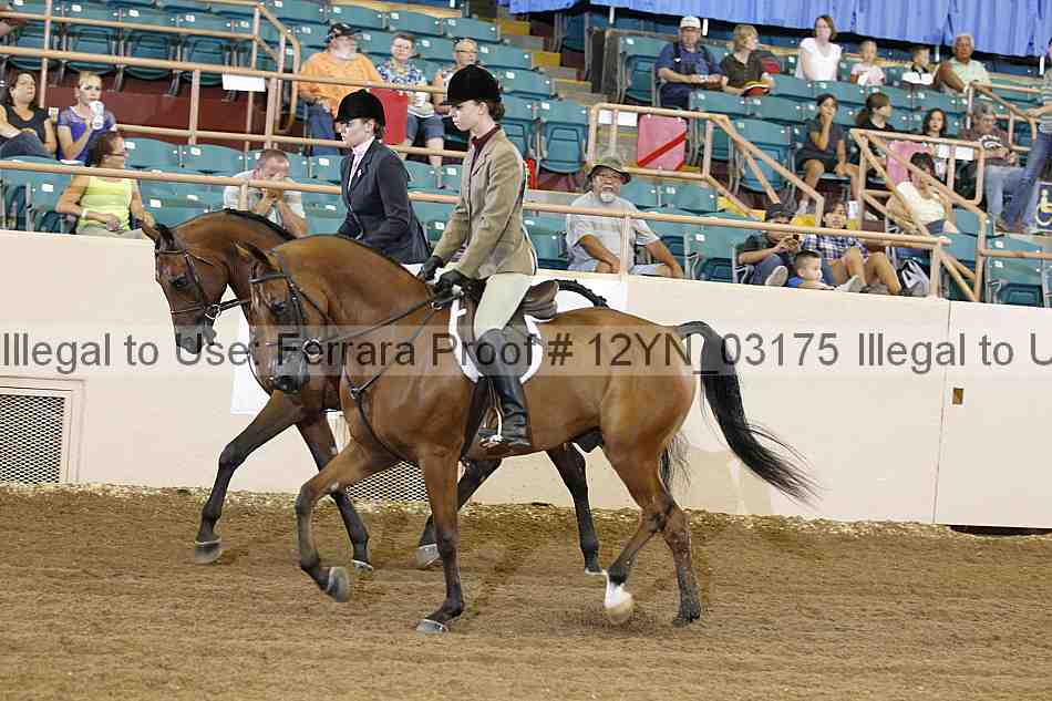 Proof 12yn_03175