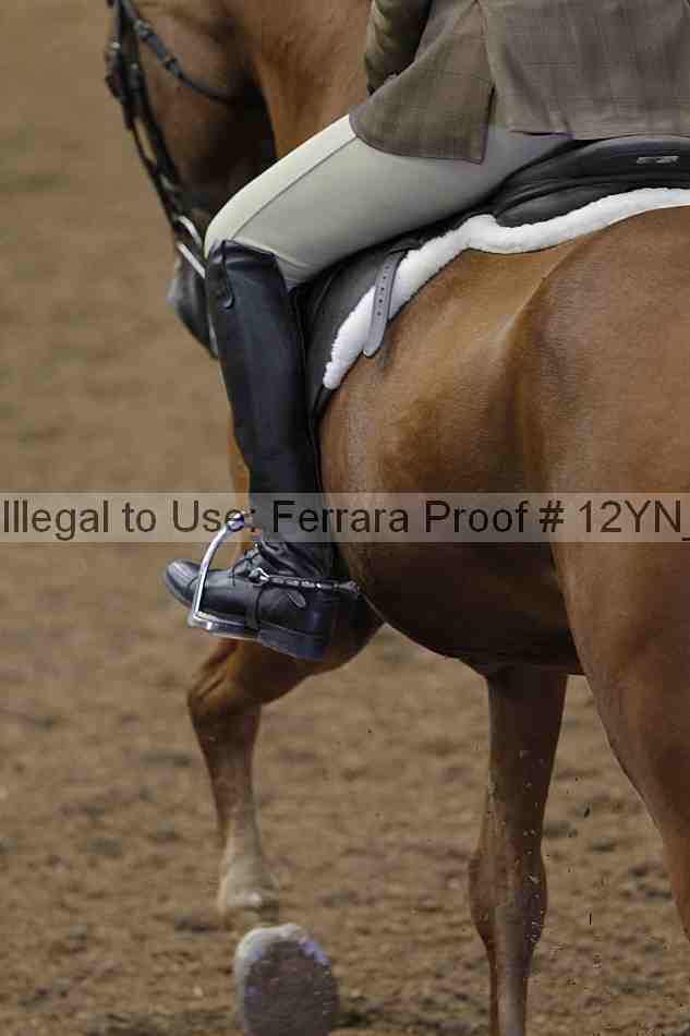 Proof 12yn_03176