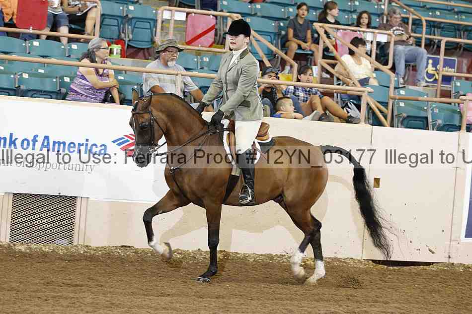 Proof 12yn_03177