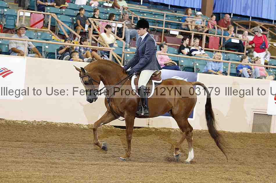 Proof 12yn_03179