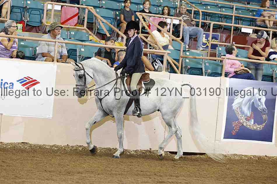 Proof 12yn_03190