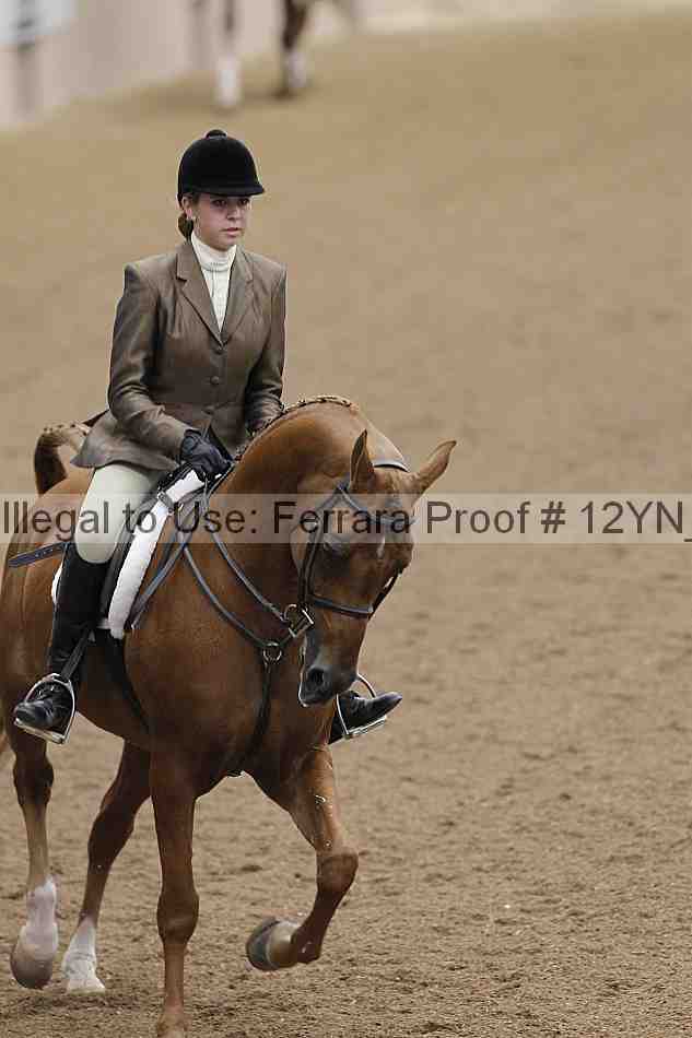 Proof 12yn_03191