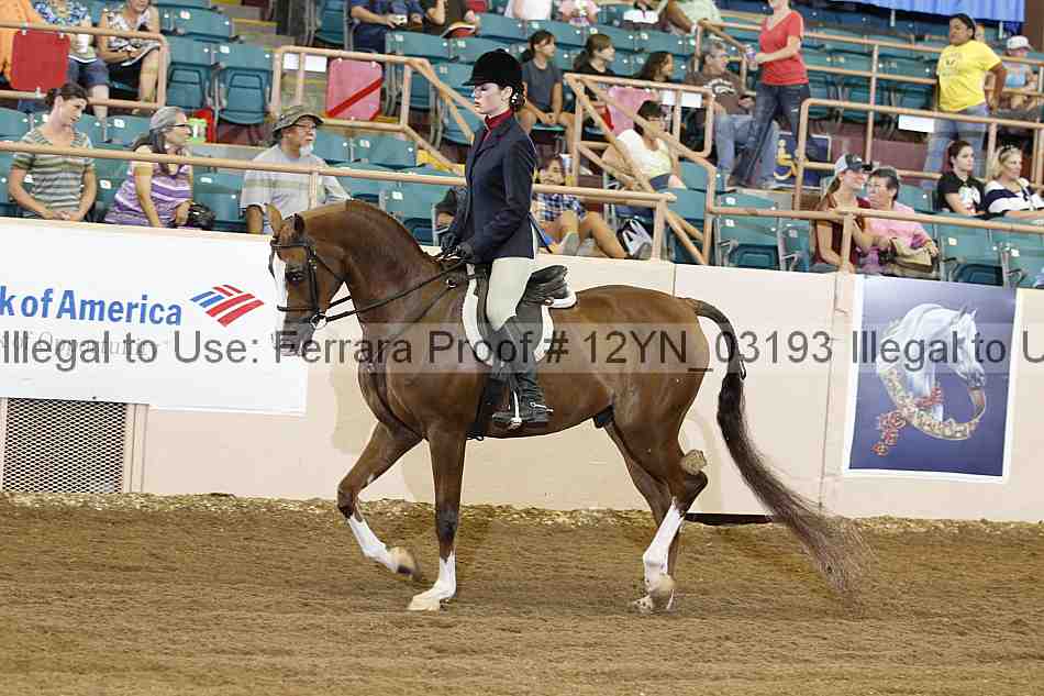 Proof 12yn_03193