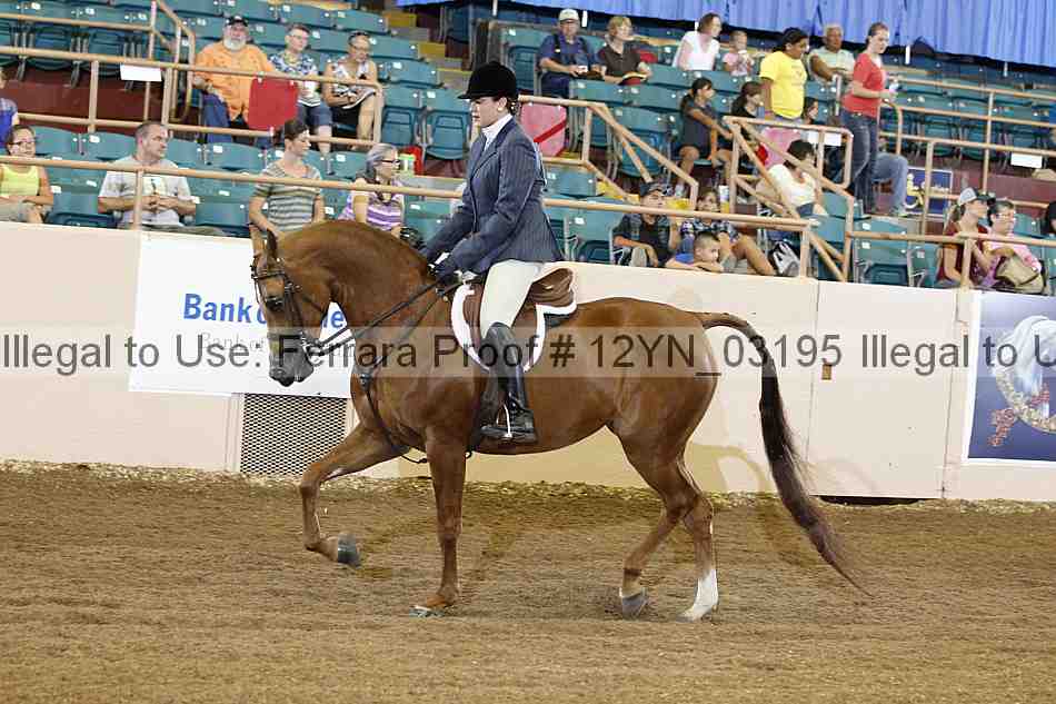 Proof 12yn_03195