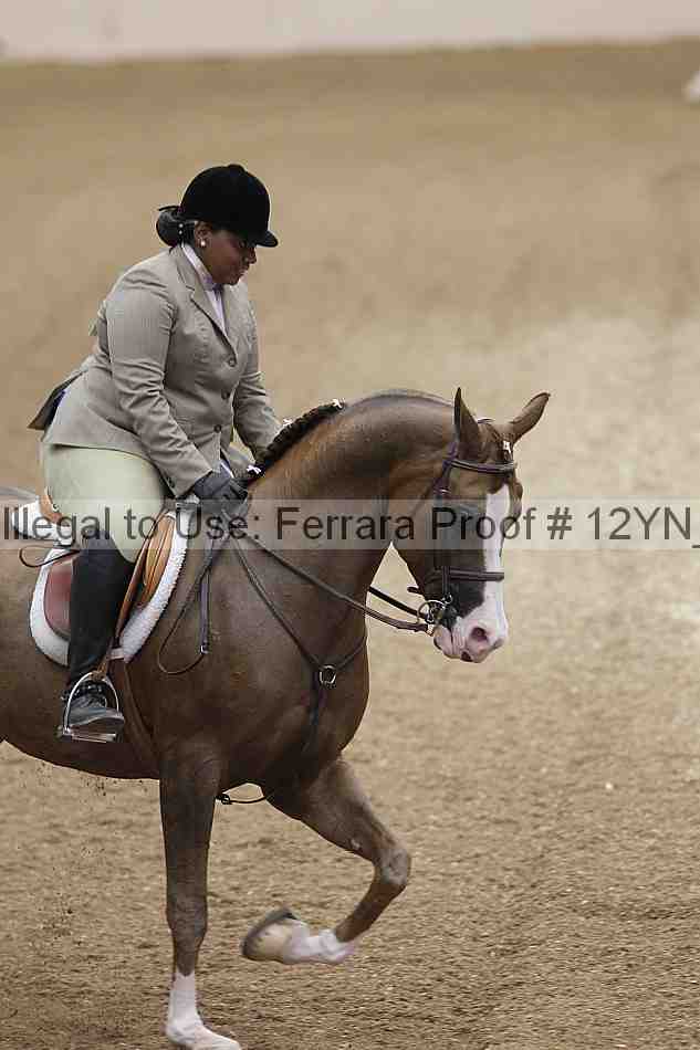Proof 12yn_03196
