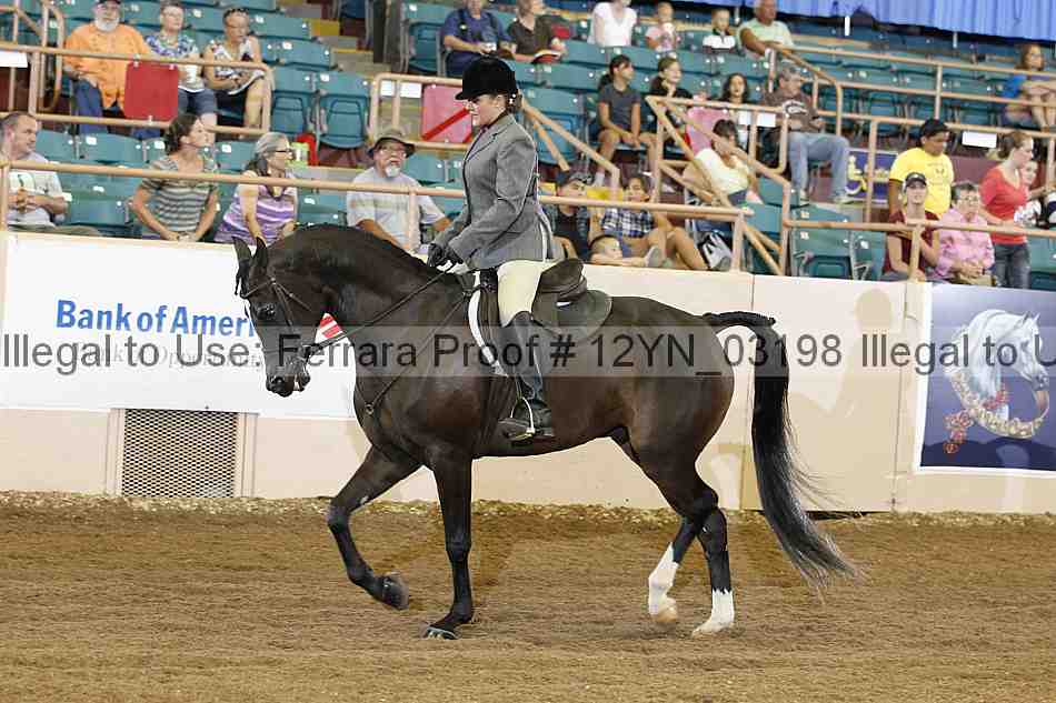 Proof 12yn_03198