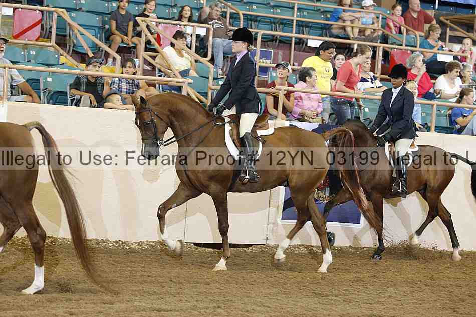 Proof 12yn_03199