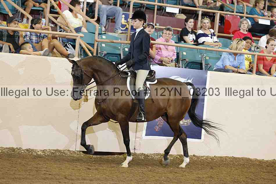 Proof 12yn_03203