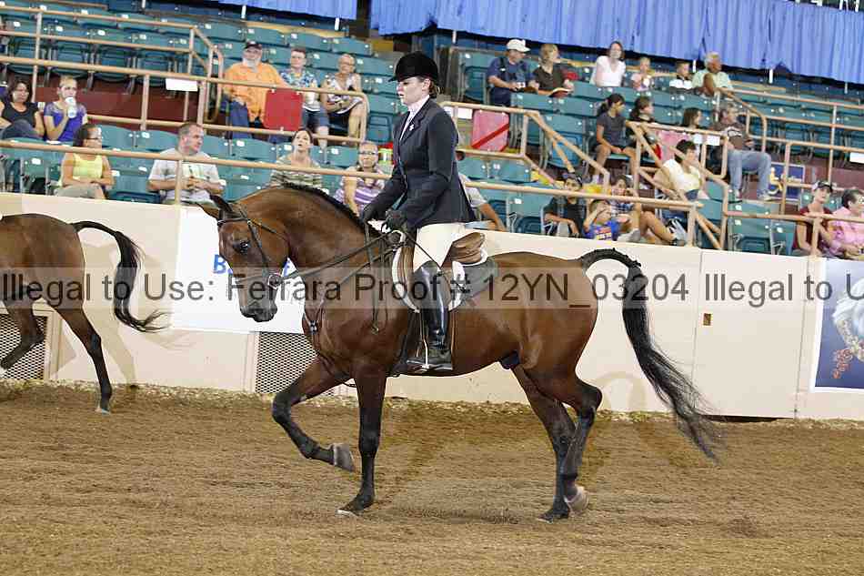 Proof 12yn_03204