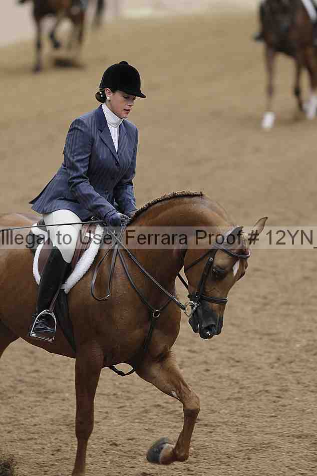 Proof 12yn_03205